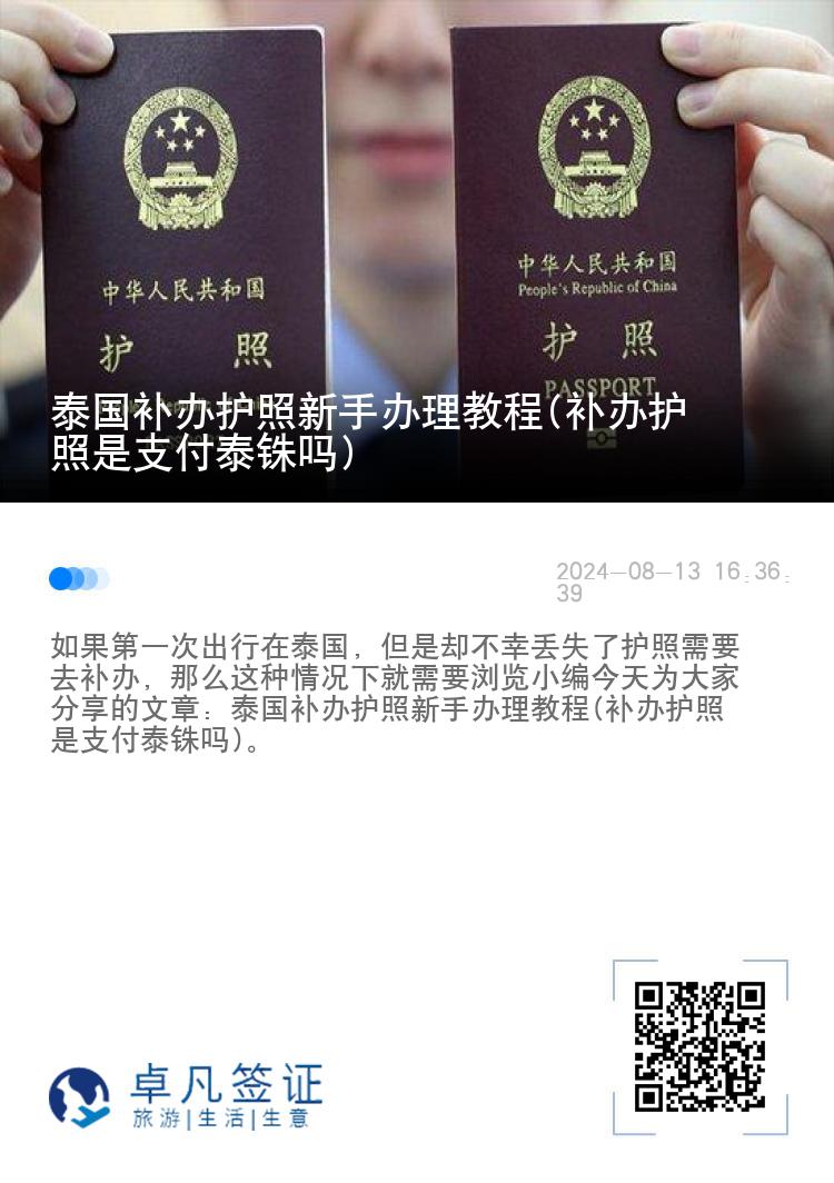 泰国补办护照新手办理教程(补办护照是支付泰铢吗)